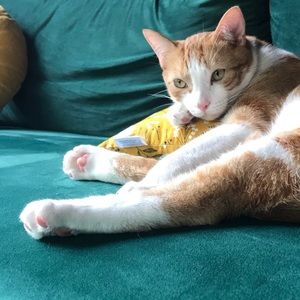 Meet your Posher, Anna